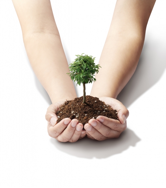 2026年のSDGs世界動向を予測！