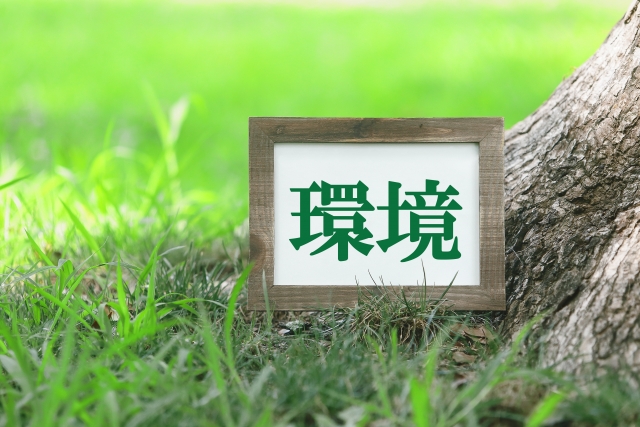 人類が解決した環境問題の一覧