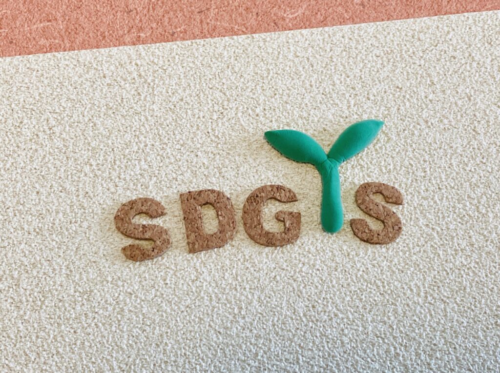 【SDGs最新状況】2030年まで残り4年。世界の達成率はわずか18%、日本は19位の現実