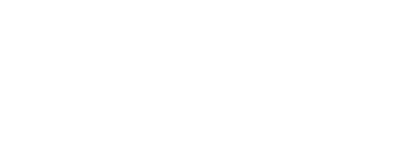 Q&A