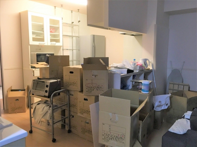 引っ越し掃除中のごみ